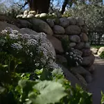 Forsesiforseno Bed & Breakfast 3*