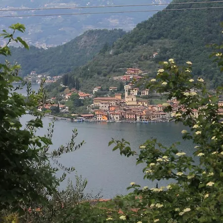 Forsesiforseno