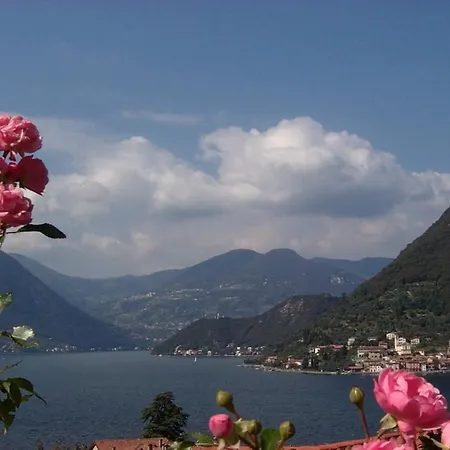 Forsesiforseno Bed & Breakfast 3*